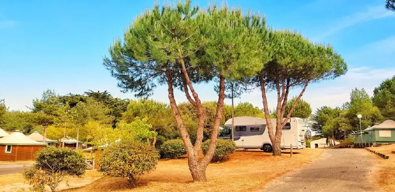Nuestro autocaravana en un camping.